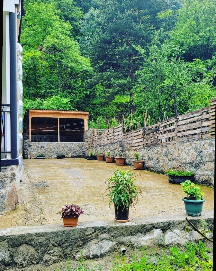 Family Hotel Mountain Panorama Borjomi Exterior foto