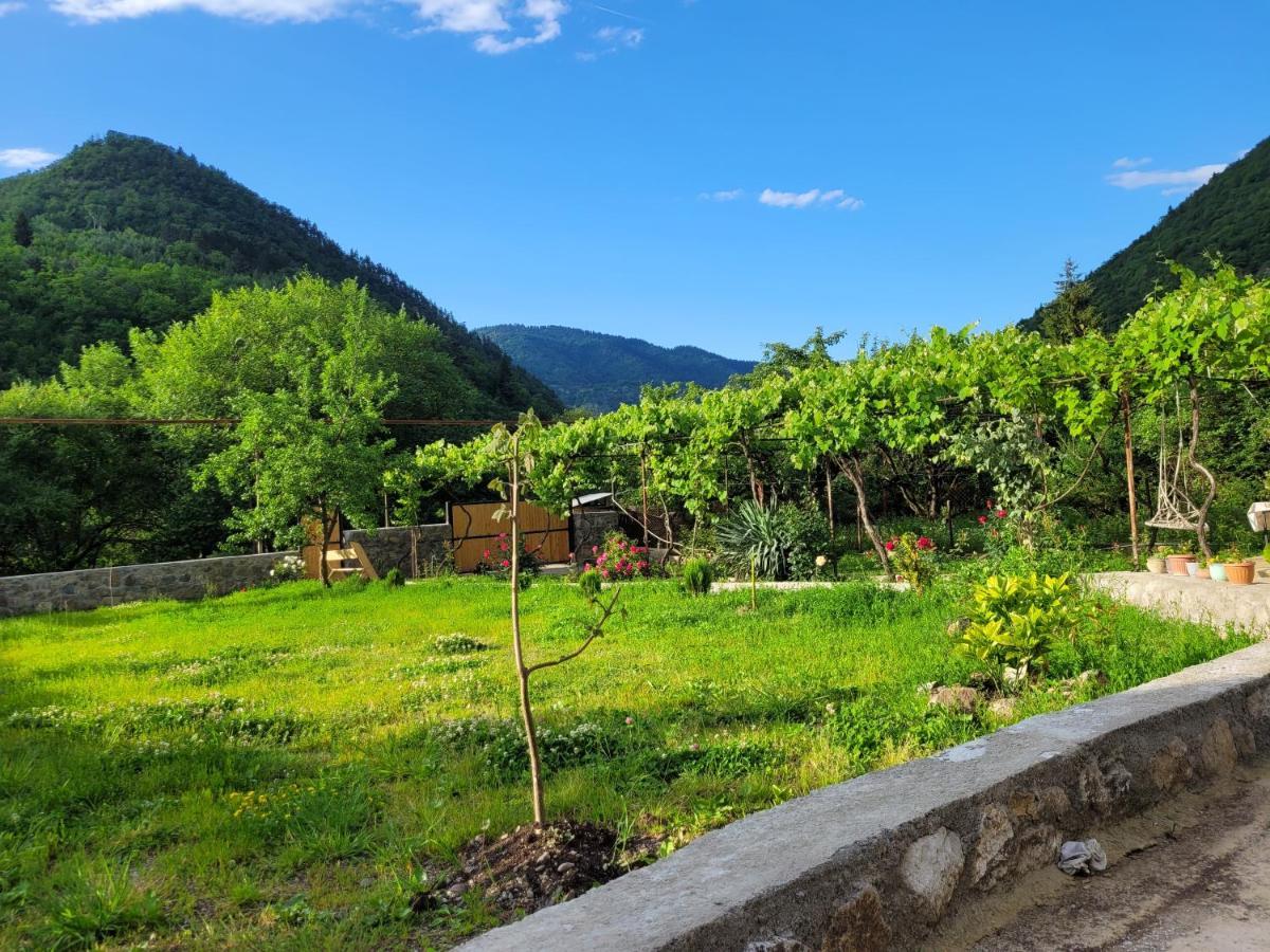 Family Hotel Mountain Panorama Borjomi Exterior foto